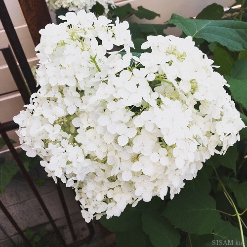 4d9869ea-b37c-45c7-881a-4dab26926393