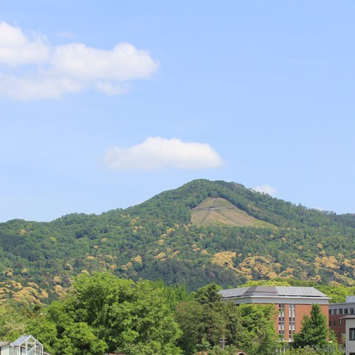 ad57e98c425204c385766b4999e14e3b